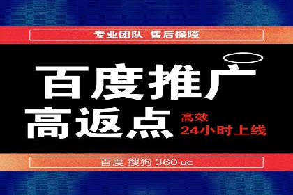 百度竞价赚钱攻略：实战案例分享